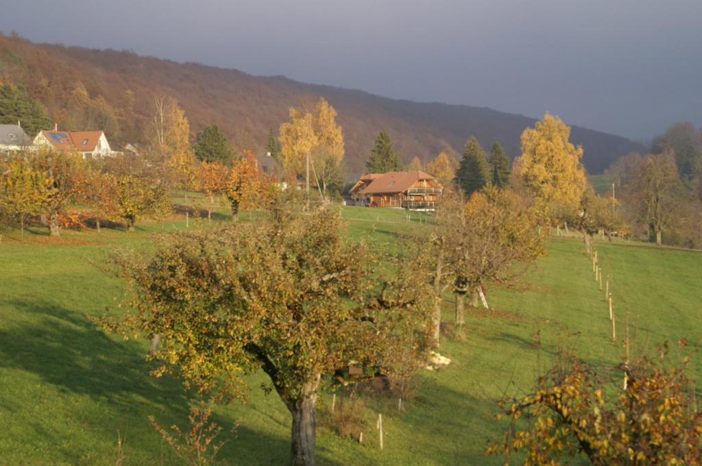 Vreni'S Gaestezimmer Himmelried Zewnętrze zdjęcie